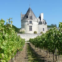 Chateau de Loire