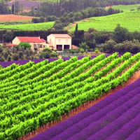 Provence